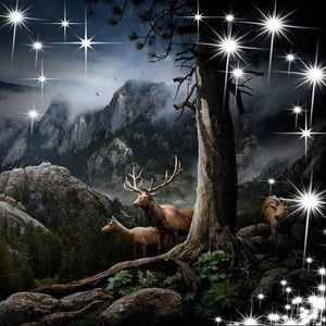 Meet your Posher, Alan